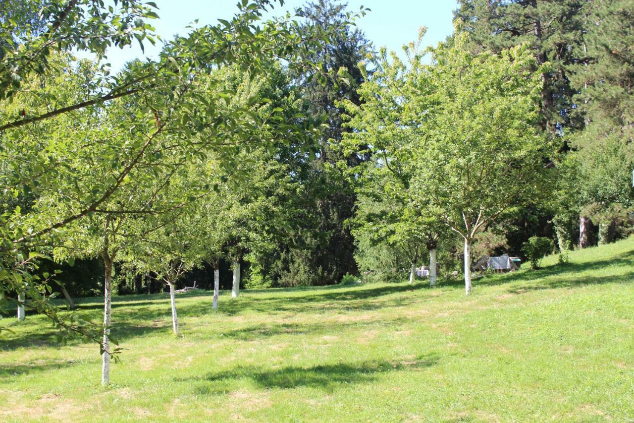 Gite 2 Du Chateau De Feschaux Villeneuve-sous-Pymont 外观 照片